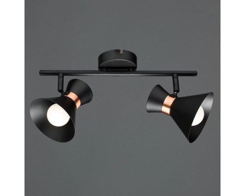 Спот Baltimore A1406AP-2BK Arte Lamp