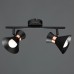 Спот Baltimore A1406AP-2BK Arte Lamp
