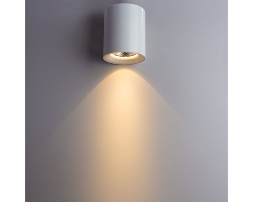 Точечный светильник Facile A5130PL-1WH Arte Lamp