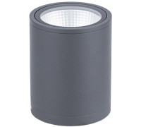 Потолочный светильник уличный Dwell NC-033072-DG Natural Concepts