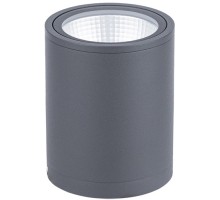 Потолочный светильник уличный Dwell NC-033072-DG Natural Concepts