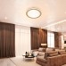 Потолочная люстра LED LAMPS LED LAMPS 81301 Natali Kovaltseva