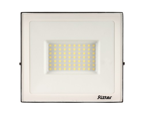 Прожектор уличный PROFI 53429 1 Ritter