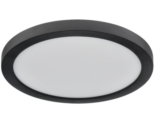 Потолочный светильник Nebula Black 7788/18L Sonex
