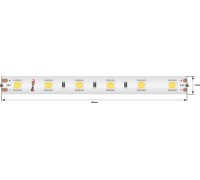 Светодиодная лента LUX DSG560-24-W-65 DesignLed