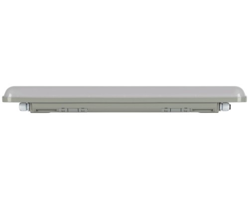 Настенно-потолочный светильник SPP-2 SPP-202-0-65K-L18 ЭРА