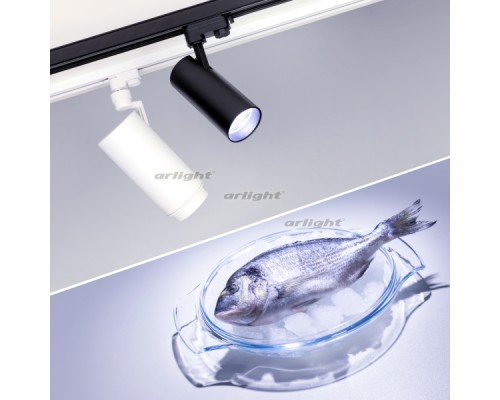 Трековый светильник ZEUS FOOD 029998 Arlight