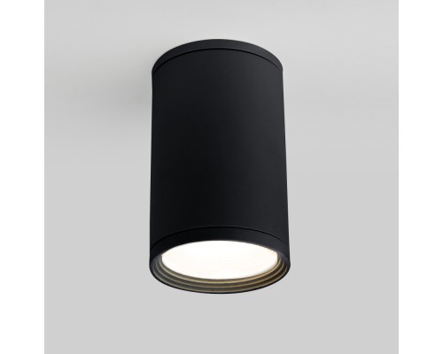 Потолочный светильник уличный Light 35128/H черный Elektrostandard
