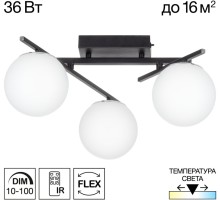Потолочная люстра Dorsy CL223132 Citilux