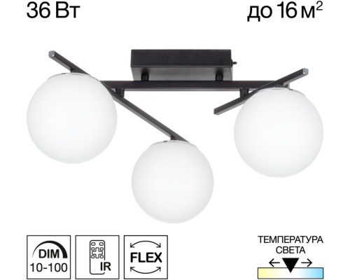 Потолочная люстра Dorsy CL223132 Citilux