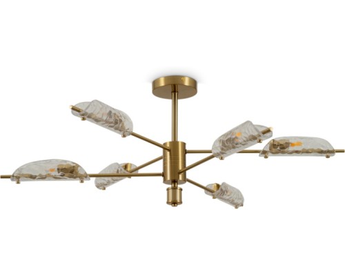 Потолочная люстра Baret FR5420CL-06BS Freya