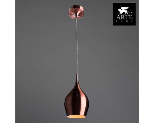 Подвесной светильник Vibrant A6412SP-1BZ Arte Lamp