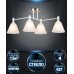 Потолочная люстра Anneta WD3619/4C-WT-FGD-WT Wedo Light