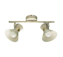 Спот Baltimore A1406AP-2WG Arte Lamp
