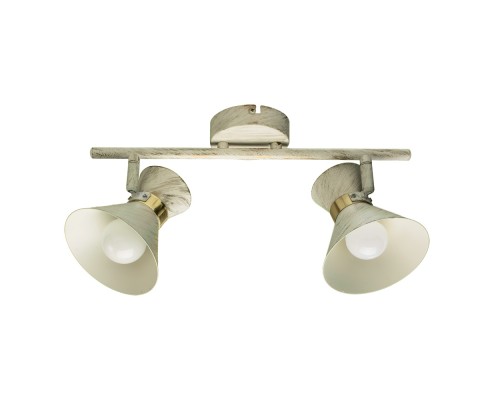Спот Baltimore A1406AP-2WG Arte Lamp