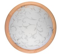 Настенно-потолочный светильник Daniela TL9530Y-00PN TopLight