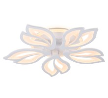 Потолочная люстра ACRYLICA FA543 Ambrella