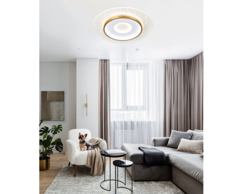 Потолочный светильник LED4U L1027-500 WH-GD LED4U