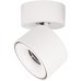 Спот Focus 10323/A White Loft It