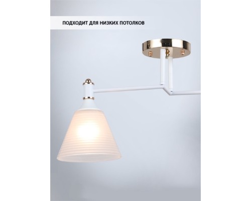 Потолочная люстра Anneta WD3619/2C-WT-FGD-WT Wedo Light