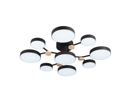 Потолочная люстра LED4U L3201-780 BK LED4U