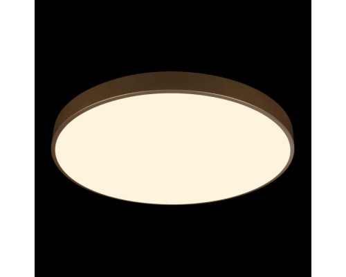 Потолочный светильник Flims 10228/B Loft It