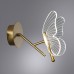 Бра Darcy A2187AP-1GO Arte Lamp