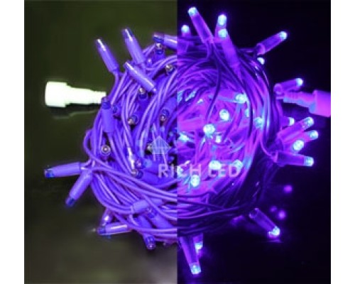 Гирлянда  RL-S10C-220V-C2V/V Rich LED