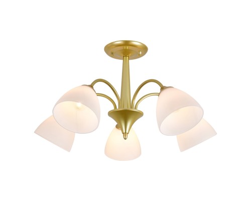 Потолочная люстра Ilex ES0000033 Escada