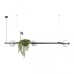 Подвесной светильник Jardin 10121/C Loft It