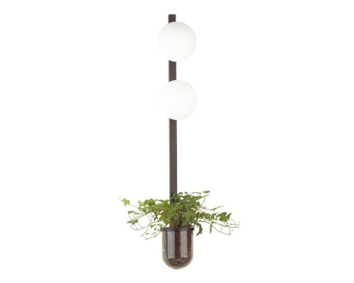 Бра Flower 4681/2WA Odeon Light