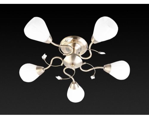 Потолочная люстра Lorin TL3570X-05AB TopLight