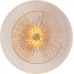 Настенный светильник Ajour A1259AP-1PB Arte Lamp
