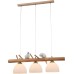 Подвесной светильник Caprice A4183SP-3BR Arte Lamp