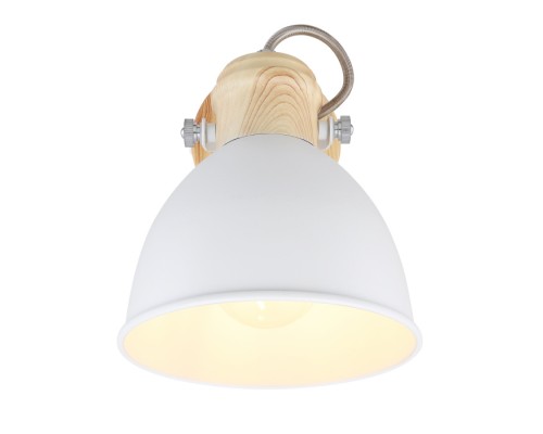 Спот Wiho 54018-1 Globo