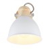 Спот Wiho 54018-1 Globo
