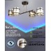 Потолочная люстра Klaso SF3316/4C-BK-FGD Seven Fires