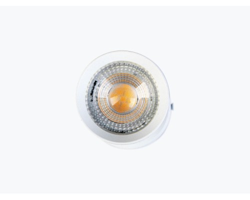 Спот SPOT 009759 LEDS Power