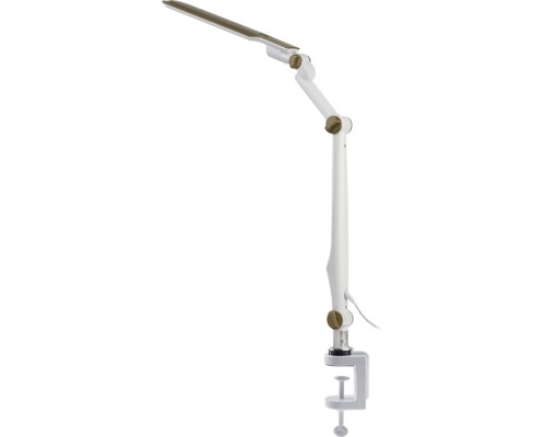 Офисная настольная лампа  NLED-496-12W-G ЭРА