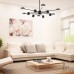 Потолочная люстра Ferrara 3307.6293-12 Black APL LED