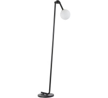 Торшер Dexter 6500/1F Lumion