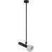 Подвесной светильник Delta 2361-1 BK+WH iLedex
