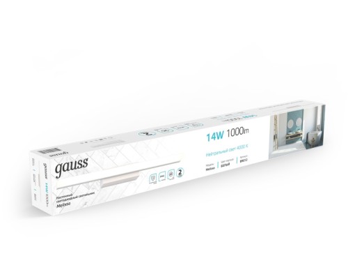 Настенный светильник Melissa BR012 Gauss