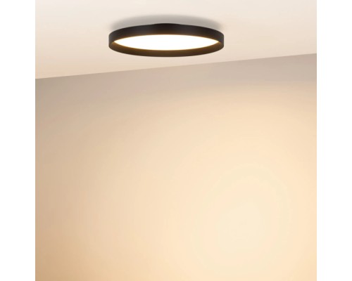 Потолочный светильник ESTELY 054797 Arlight
