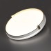 Настенно-потолочный светильник Olidi White 7646/CL Sonex
