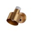 Спот Goldy V11314-1W Moderli