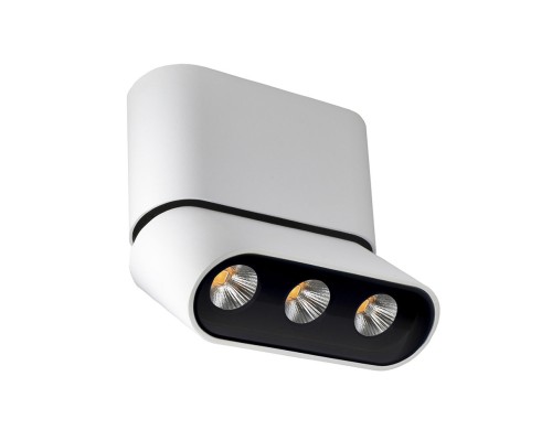 Спот Фергус 8005/3CS-WT-BK Lumien Hall