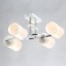 Потолочная люстра Олимпия 106011004 MW-Light