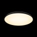 Потолочный светильник Dime 10371 Black Loft It