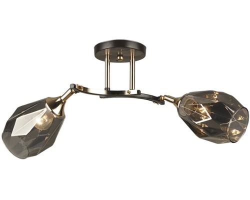 Спот Lima 66719.01.15.02 Wedo Light